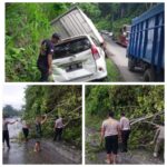 Polisi dan Tim Gabungan Evakuasi Pohon Tumbang di Tanjakan Tarahan Demi Kelancaran Perayaan Natal dan Tahun Baru